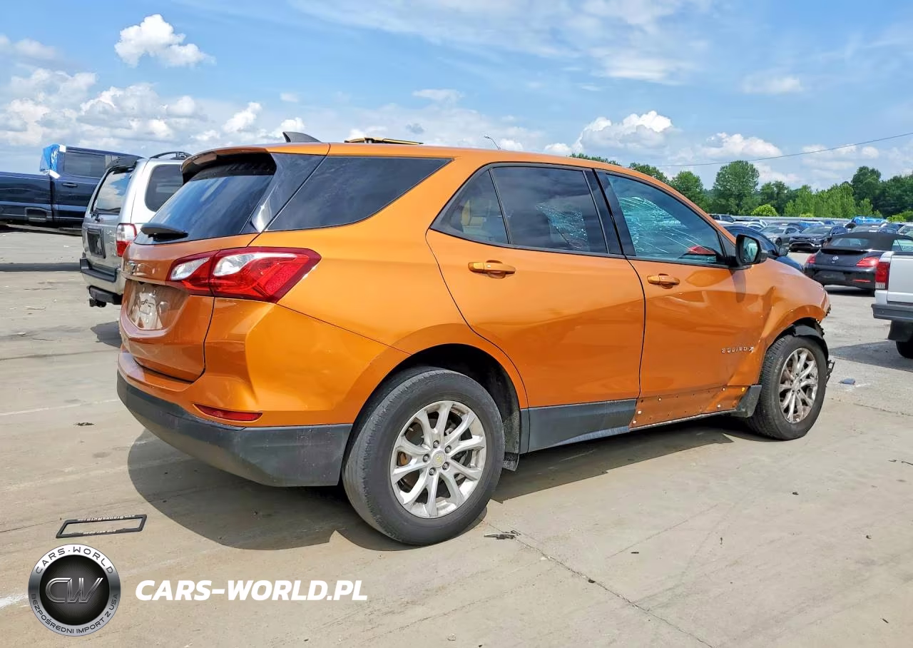 2019 Chevrolet Equinox Ls VIN:2GNAXHEV1K6195420 - 3