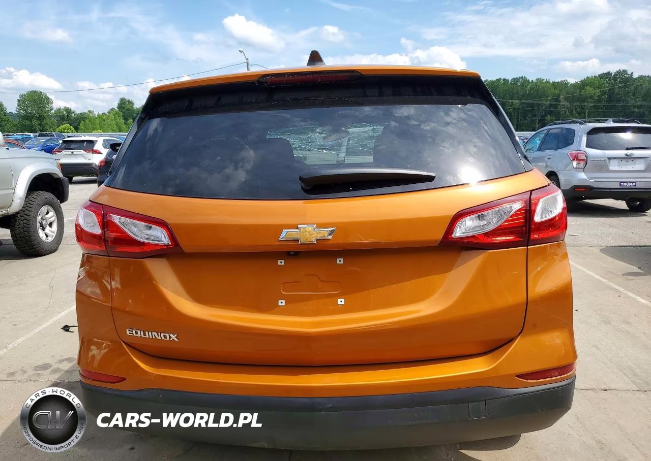 2019 Chevrolet Equinox Ls VIN:2GNAXHEV1K6195420 - 6