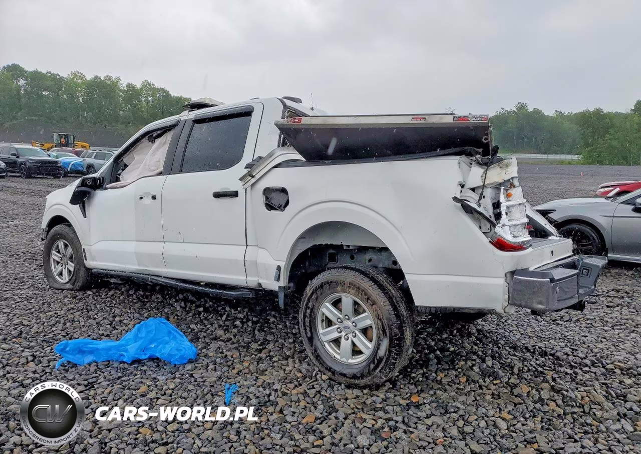 2021 Ford F-150 Supercrew VIN:1FTFW1E84MFB63850 - 2