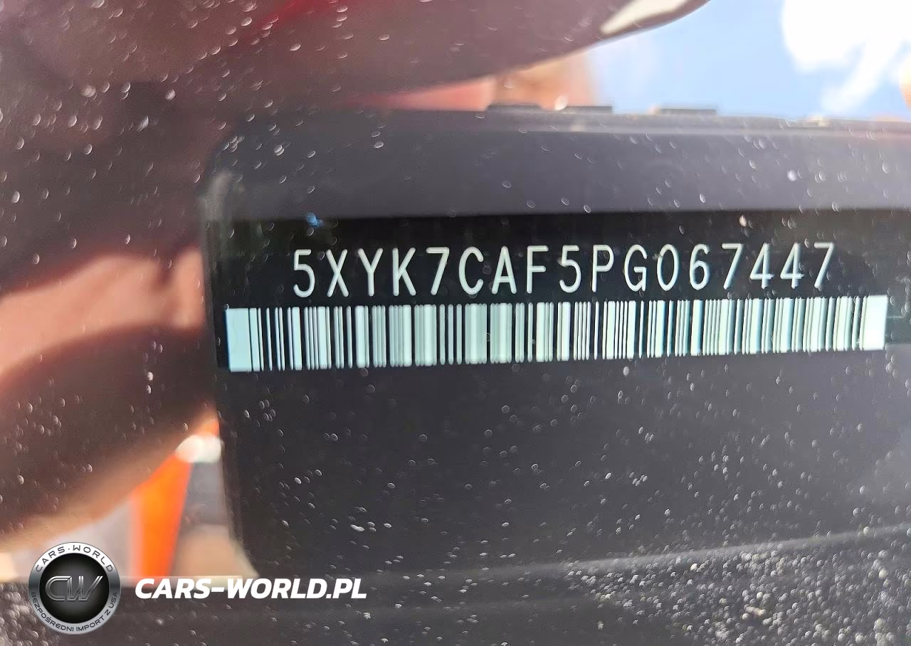 2023 Kia Sportage X-Pro VIN:5XYK7CAF5PG067447 - 13