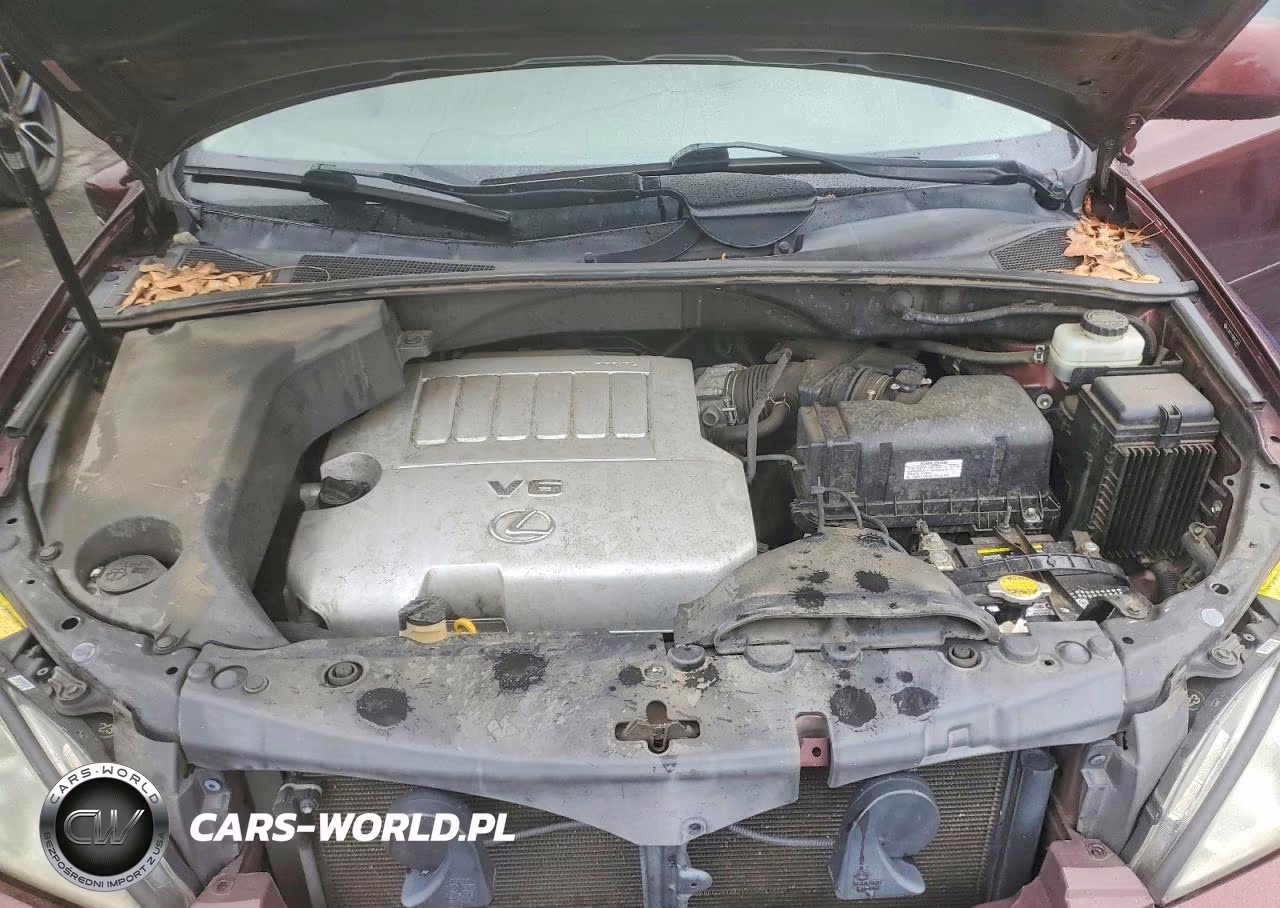 2008 Lexus Rx 350 VIN:JTJGK31U580011581 - 12