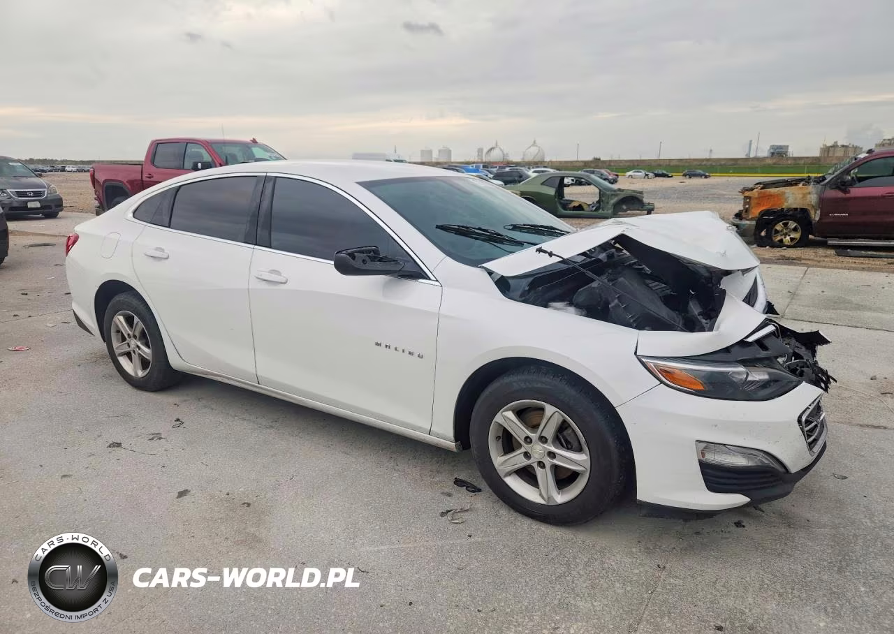 2020 Chevrolet Malibu Ls VIN:1G1ZB5ST0LF075846 - 4