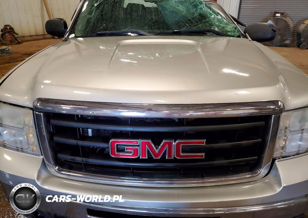 2010 GMC Sierra K1500 Sle VIN:3GTRKVE32AG207309 - 11