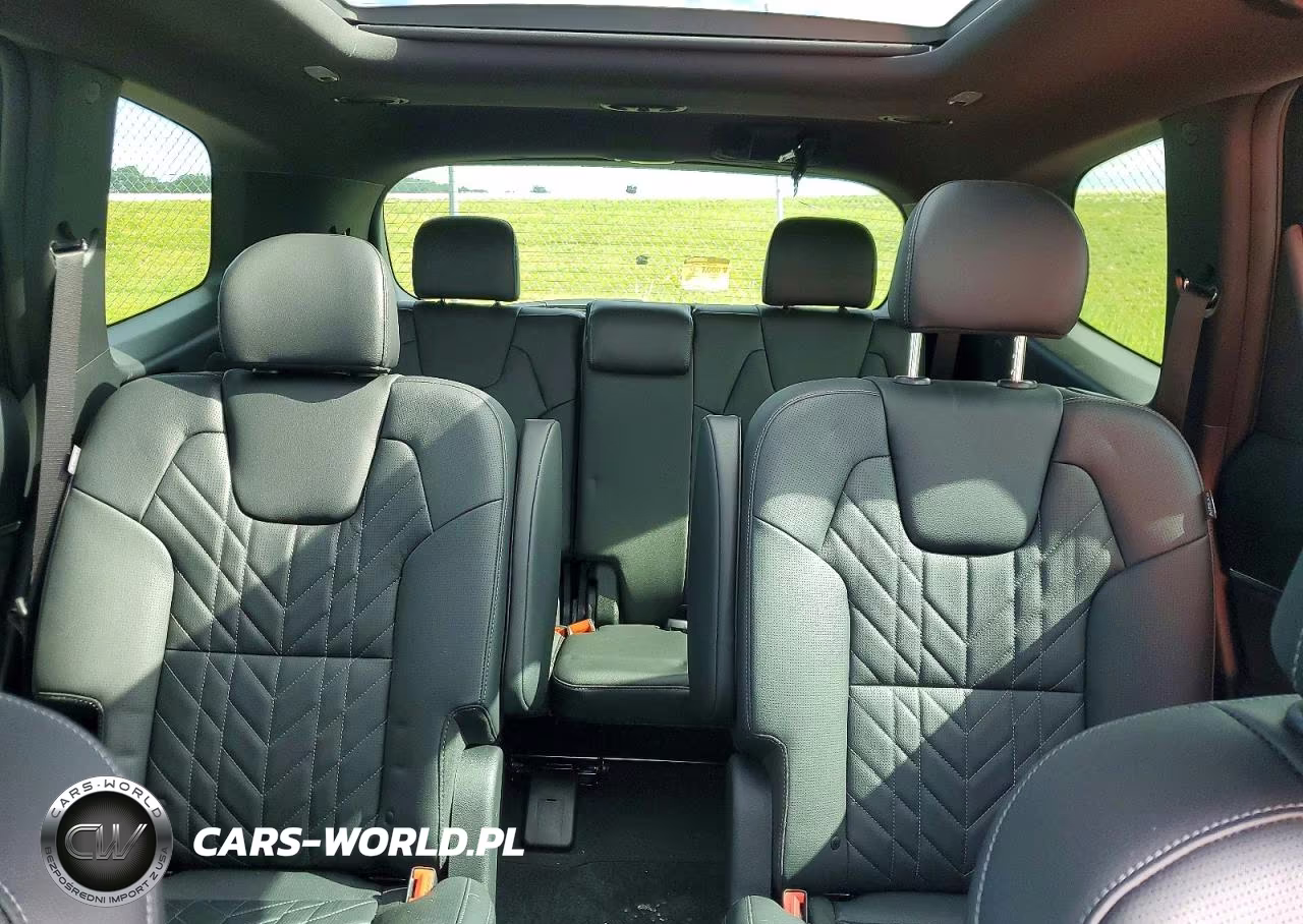 2025 Kia Telluride Sx X-Line VIN:5XYP5DGC8SG725897 - 10