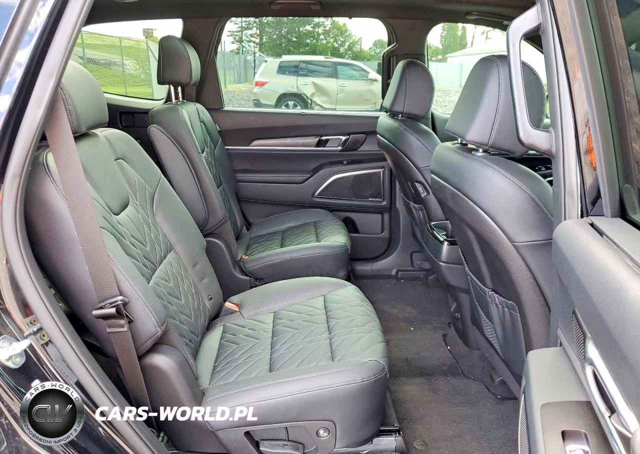 2025 Kia Telluride Sx X-Line VIN:5XYP5DGC8SG725897 - 11