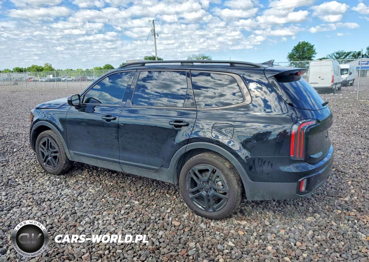 2025 Kia Telluride Sx X-Line VIN:5XYP5DGC8SG725897 - 2
