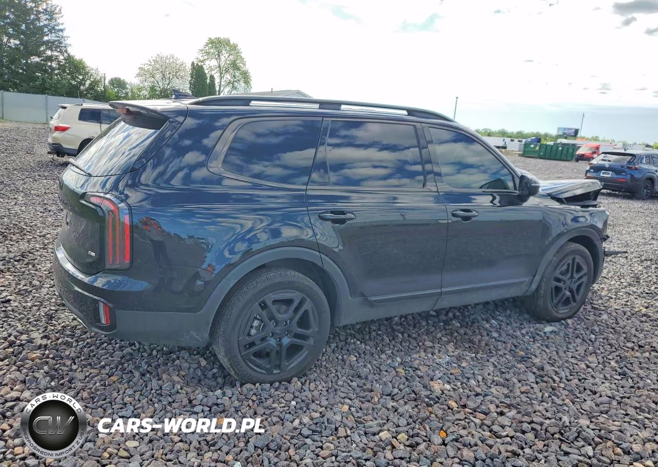 2025 Kia Telluride Sx X-Line VIN:5XYP5DGC8SG725897 - 3