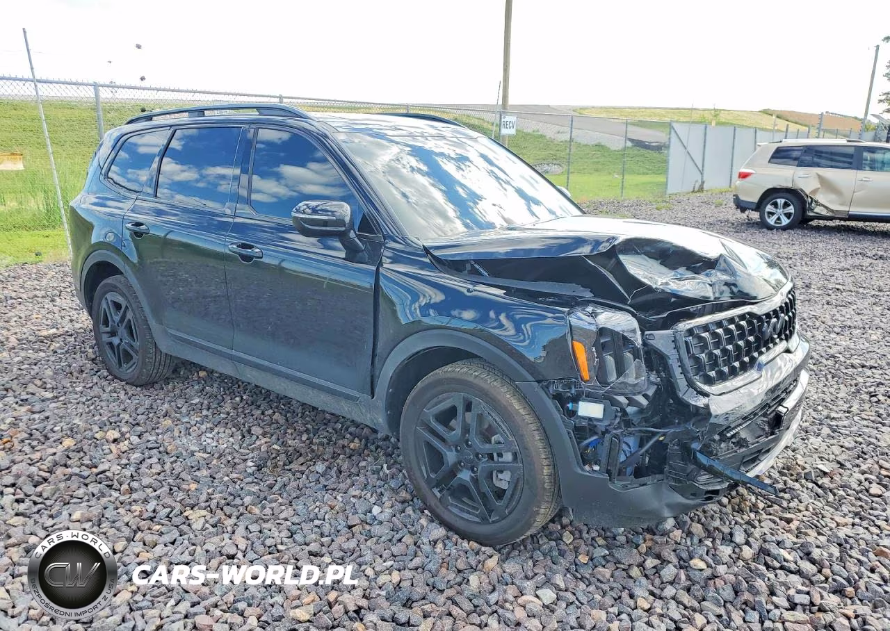 2025 Kia Telluride Sx X-Line VIN:5XYP5DGC8SG725897 - 4