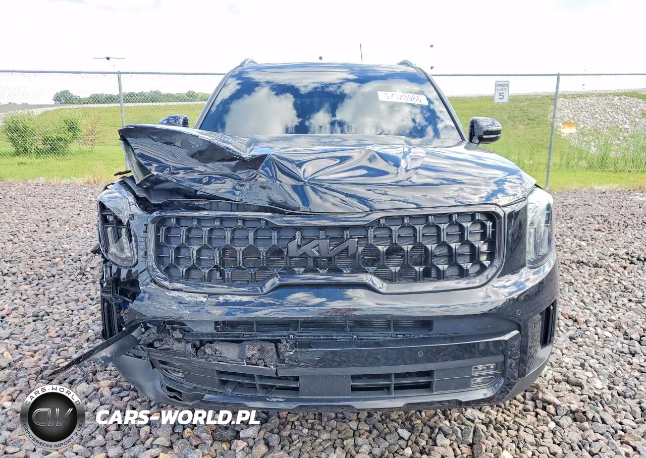 2025 Kia Telluride Sx X-Line VIN:5XYP5DGC8SG725897 - 5