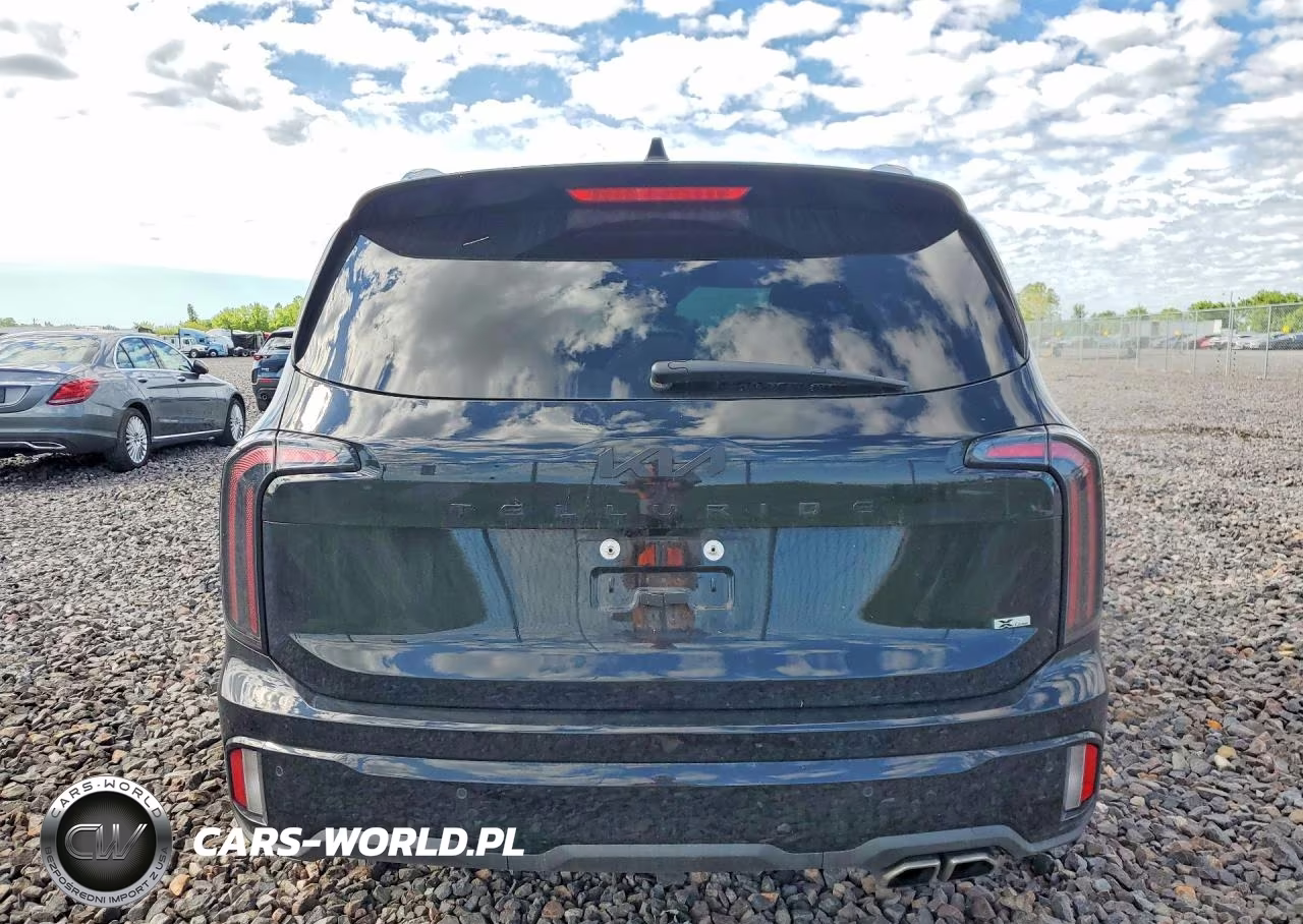 2025 Kia Telluride Sx X-Line VIN:5XYP5DGC8SG725897 - 6