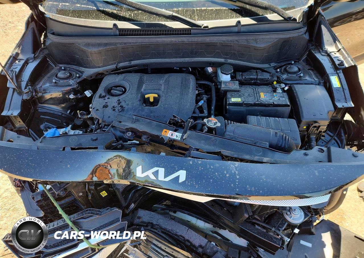 2024 Kia Seltos Lx VIN:KNDEPCAA1R7557269 - 11