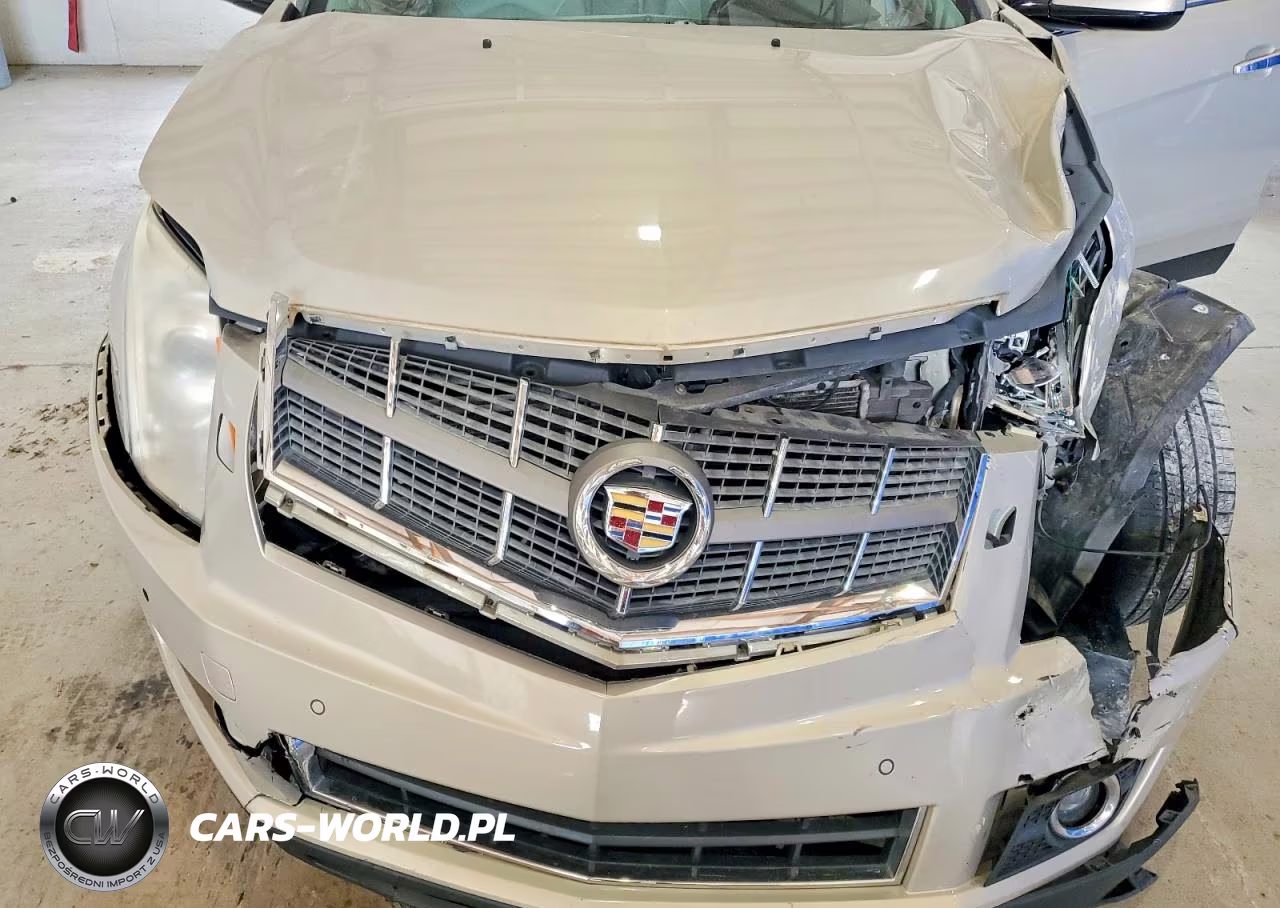 2010 Cadillac Srx Performance Collection VIN:3GYFNBEY3AS581293 - 12