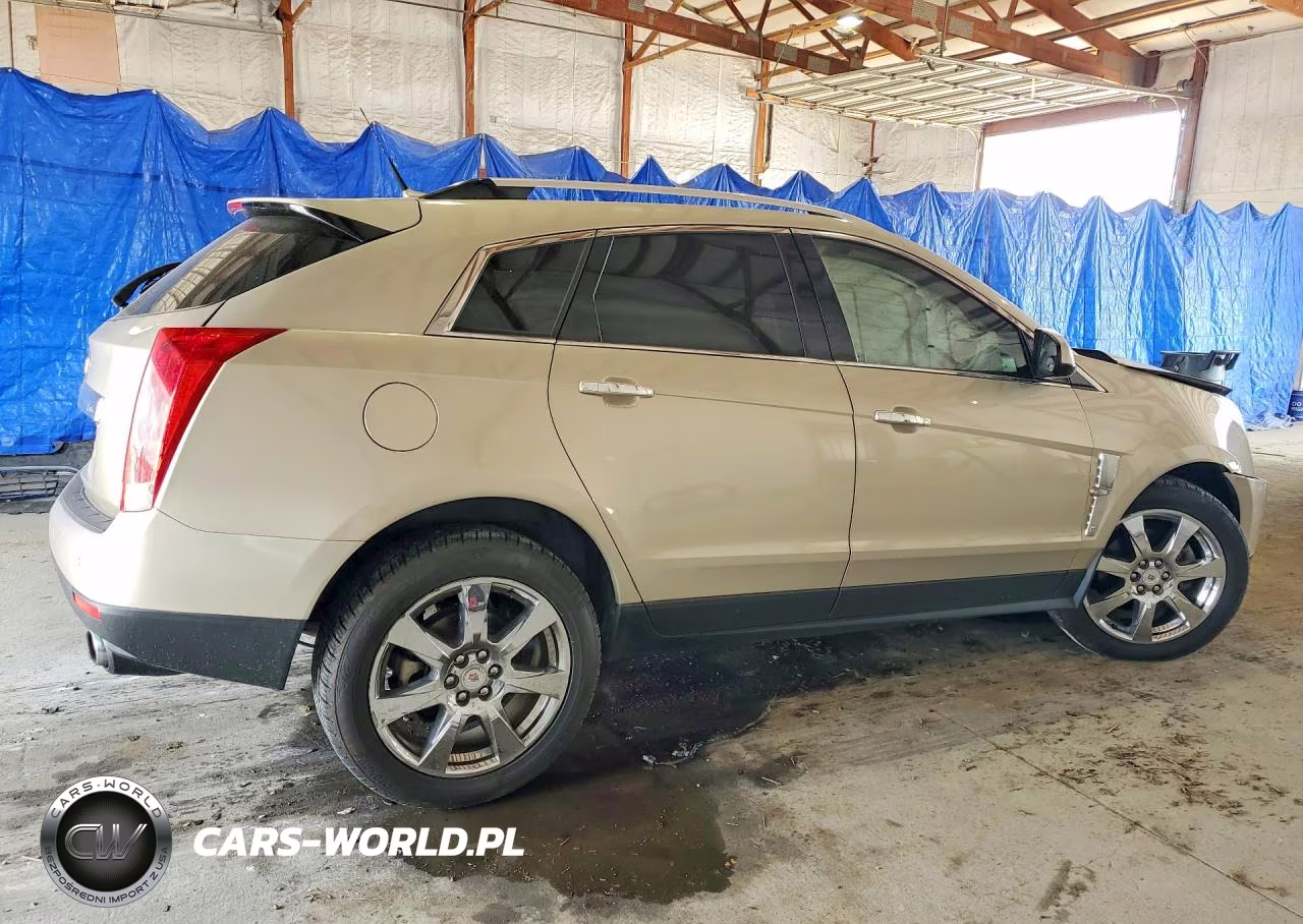 2010 Cadillac Srx Performance Collection VIN:3GYFNBEY3AS581293 - 3