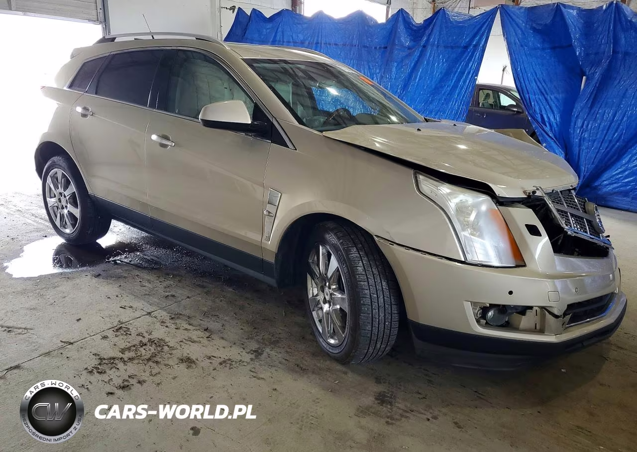 2010 Cadillac Srx Performance Collection VIN:3GYFNBEY3AS581293 - 4