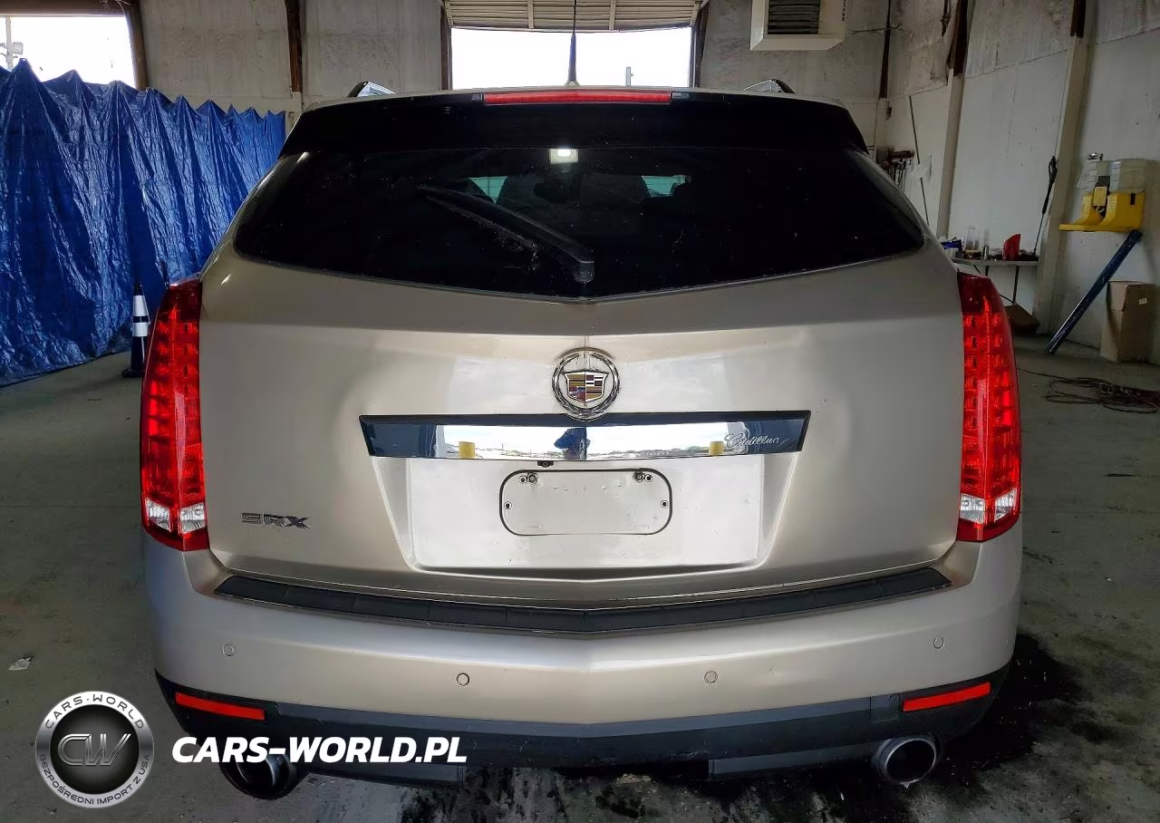 2010 Cadillac Srx Performance Collection VIN:3GYFNBEY3AS581293 - 6