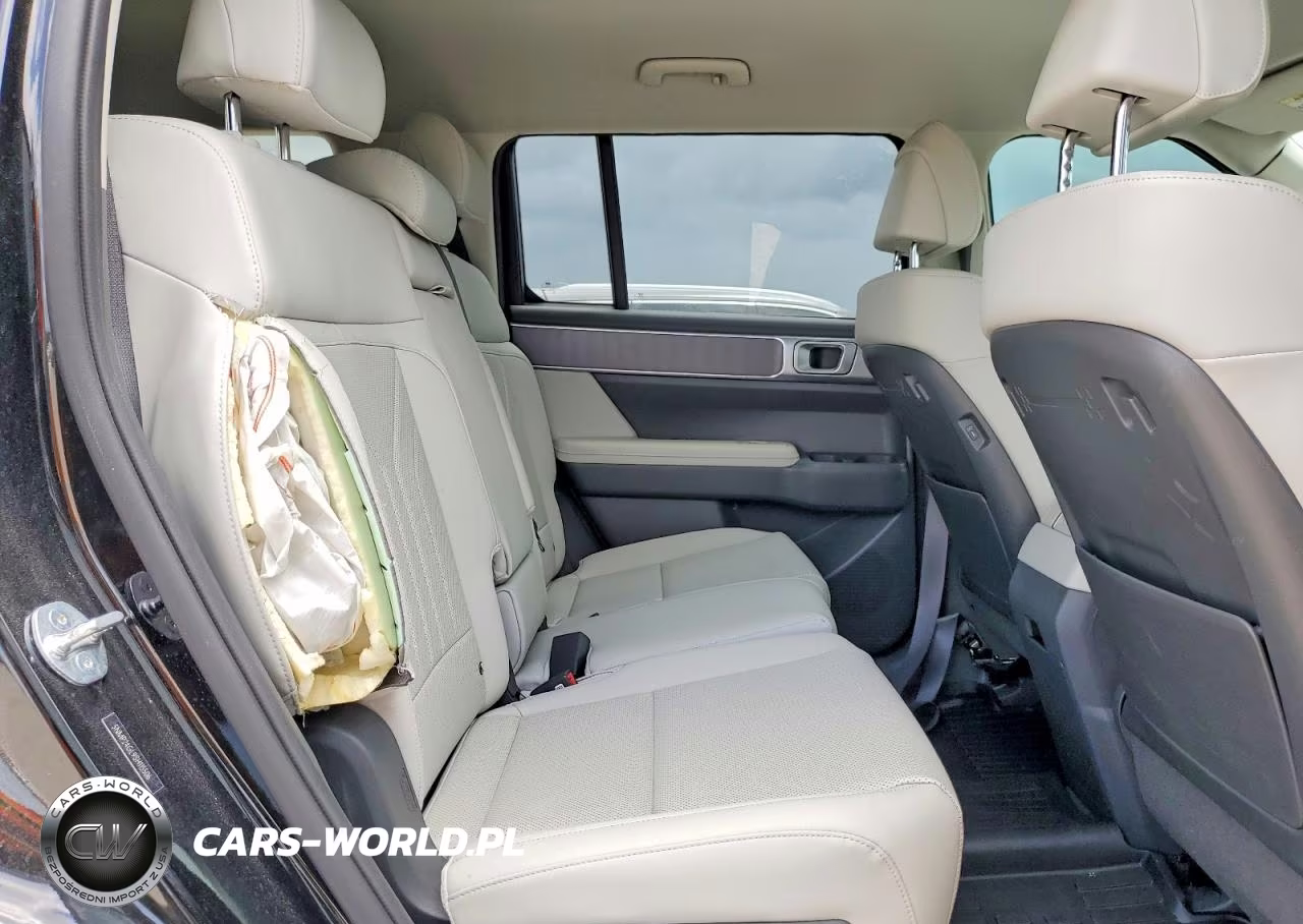 2025 Hyundai Santa Fe Sel VIN:5NMP24GL9SH115506 - 11