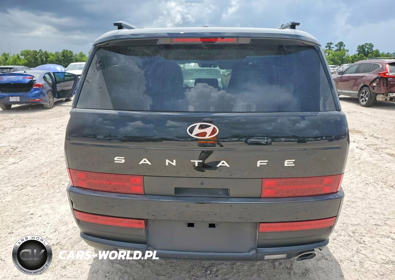 2025 Hyundai Santa Fe Sel VIN:5NMP24GL9SH115506 - 6