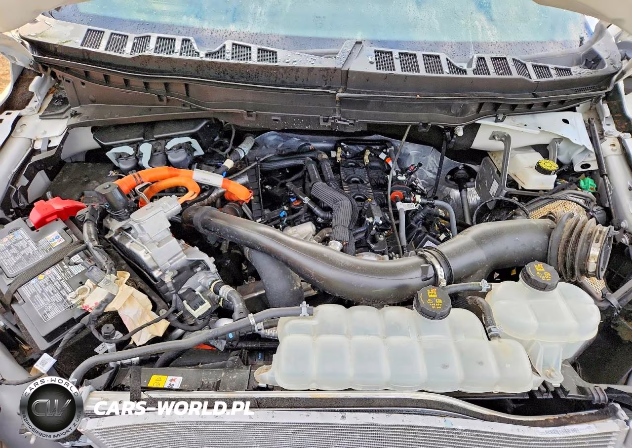 2025 Ford F150 King Ranch VIN:1FTFW6LD0SFB54699 - 11