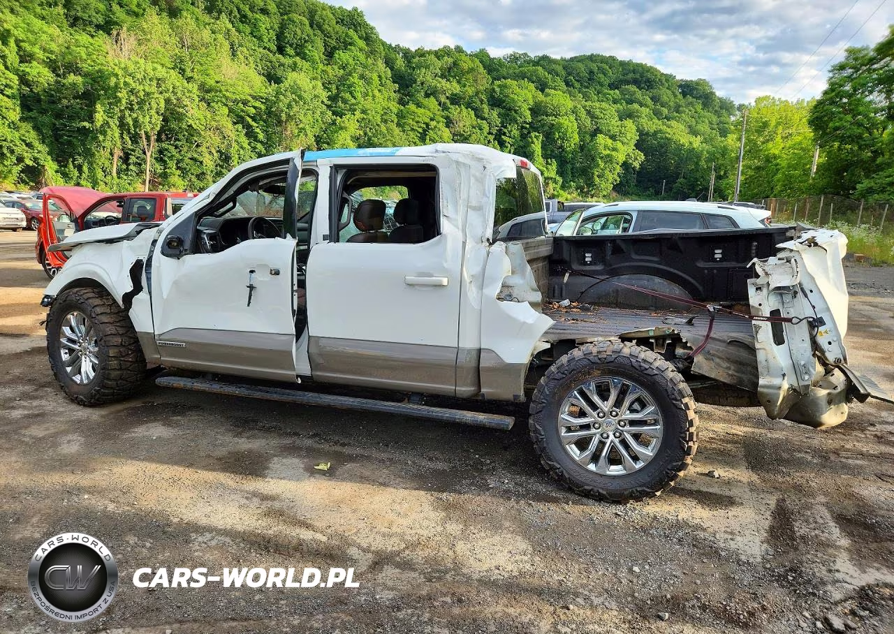 2025 Ford F150 King Ranch VIN:1FTFW6LD0SFB54699 - 2