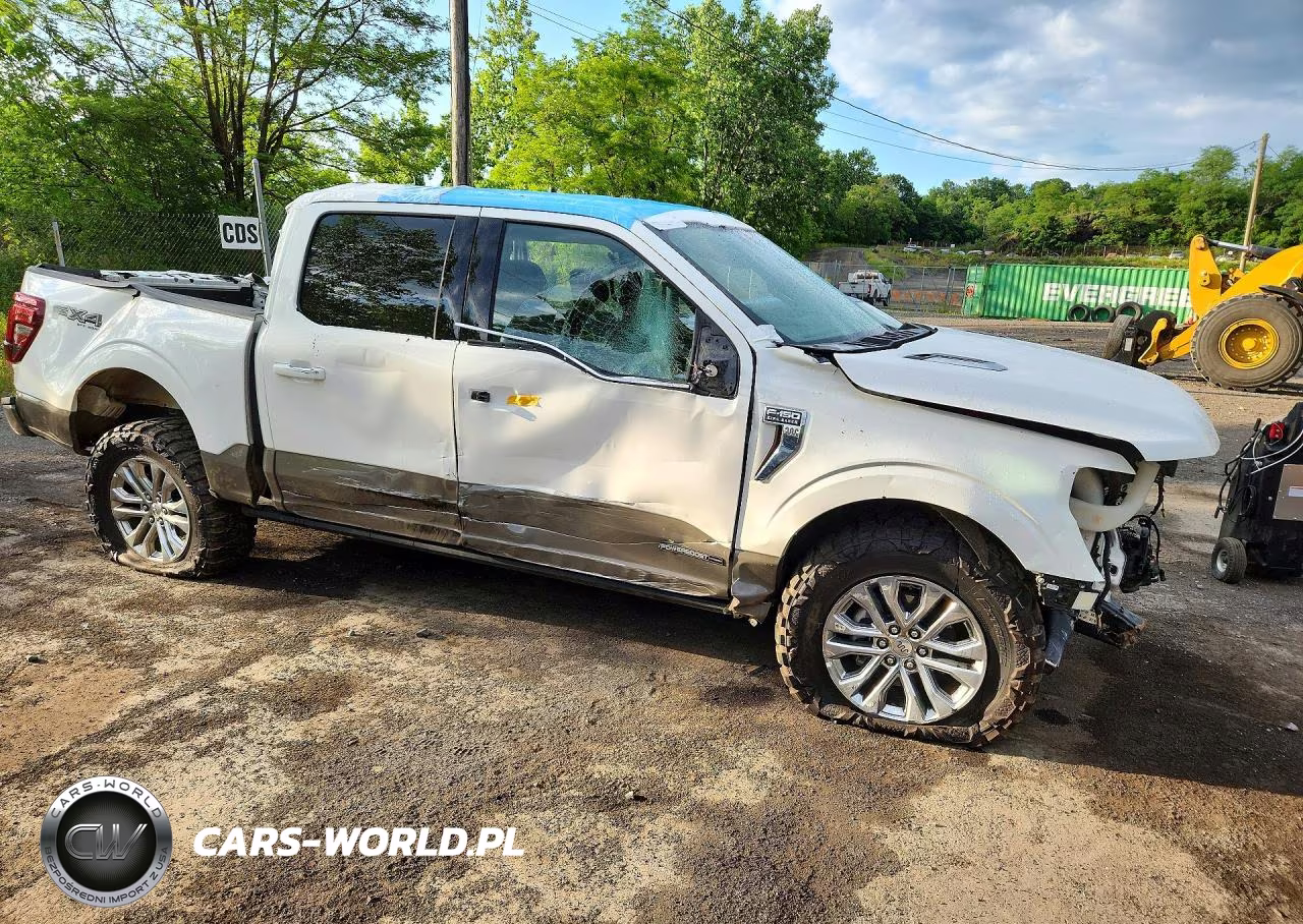 2025 Ford F150 King Ranch VIN:1FTFW6LD0SFB54699 - 4