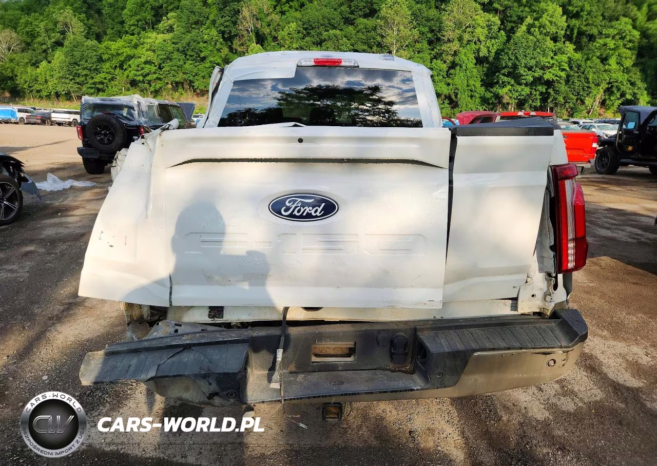 2025 Ford F150 King Ranch VIN:1FTFW6LD0SFB54699 - 6