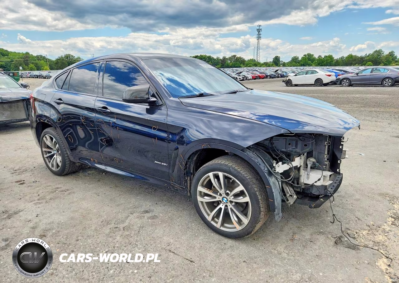2015 BMW X6 xDrive35I VIN:5UXKU2C55F0F94823 - 4