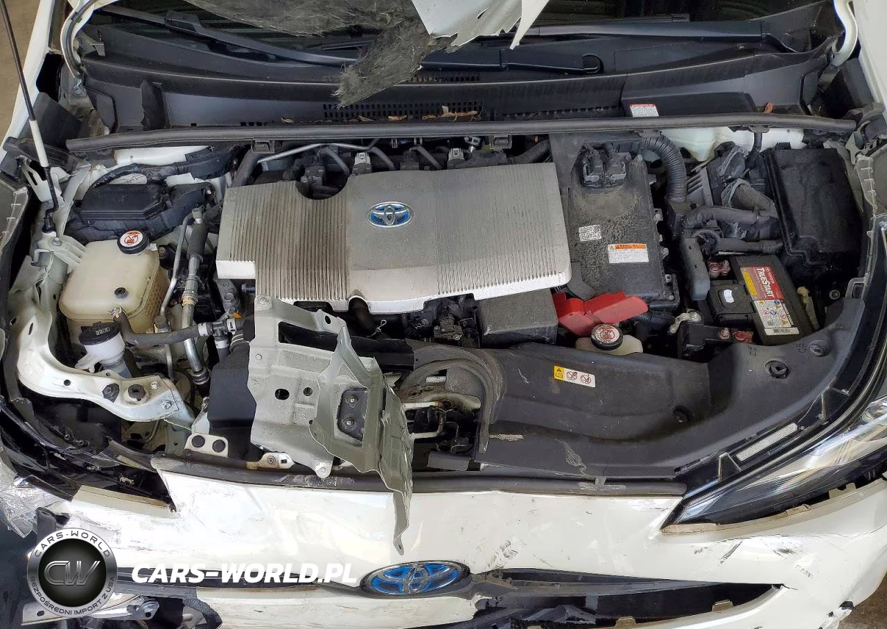 2019 Toyota Prius L Eco VIN:JTDKARFUXK3096404 - 11