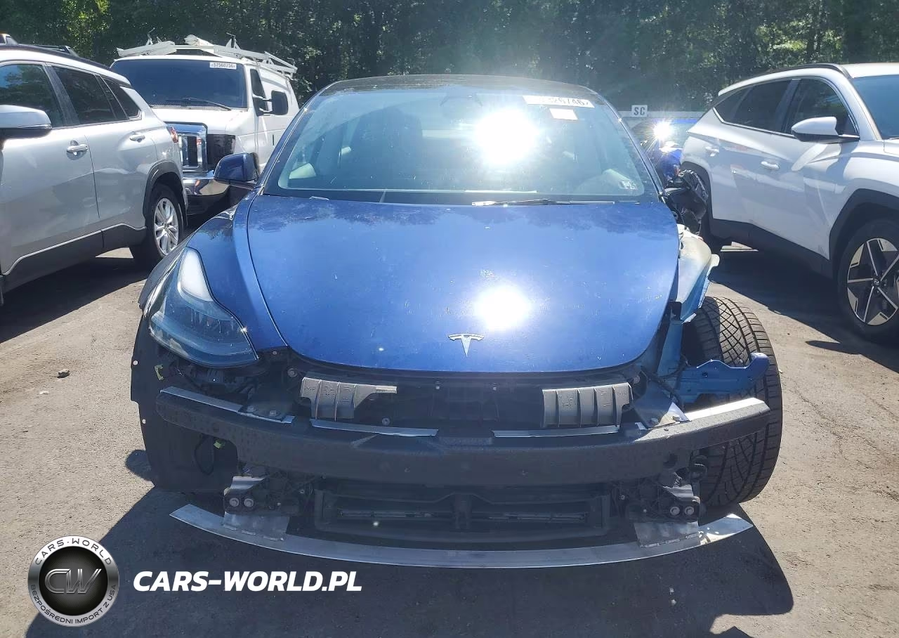 2023 Tesla Model 3 VIN:5YJ3E1EA3PF579695 - 5