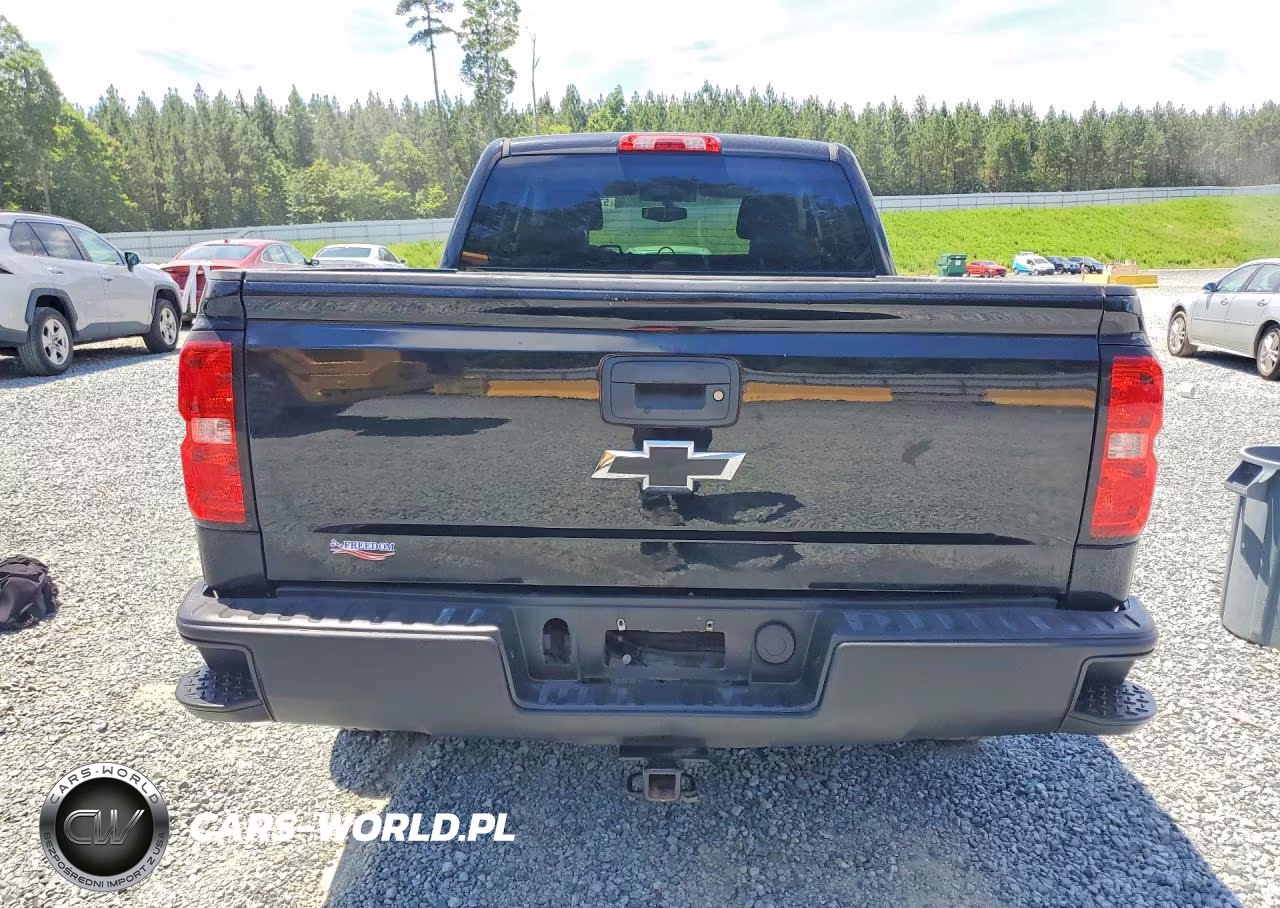 2017 Chevrolet Silverado K1500 Custom VIN:1GCVKPEC4HZ148199 - 6
