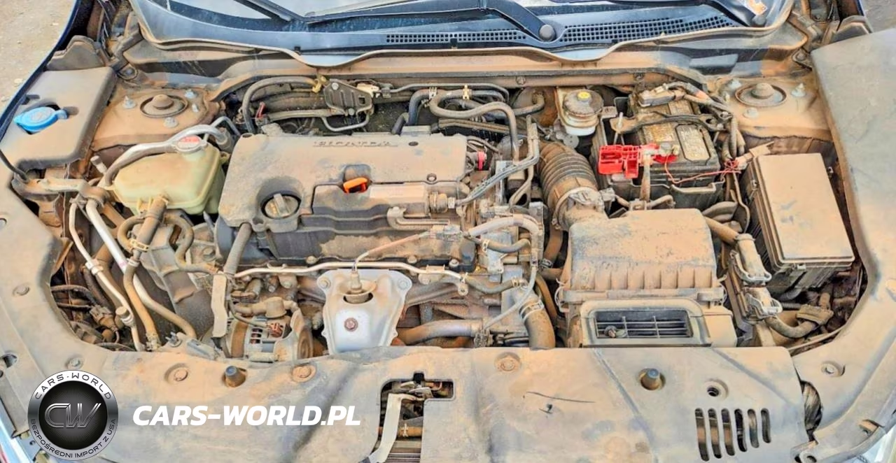 2019 Honda Civic Lx VIN:2HGFC2F6XKH555899 - 11