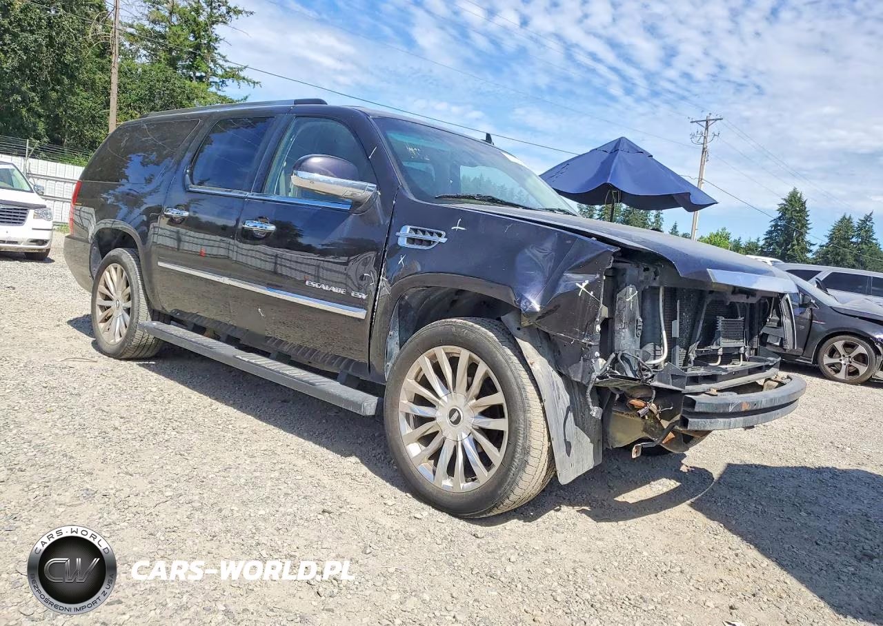2014 Cadillac Escalade Esv Platinum VIN:1GYS4KEF0ER102353 - 4