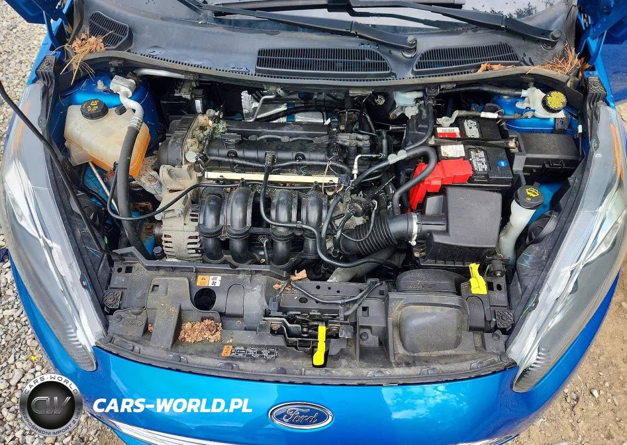 2017 Ford Fiesta Se VIN:3FADP4BJ2HM117071 - 11