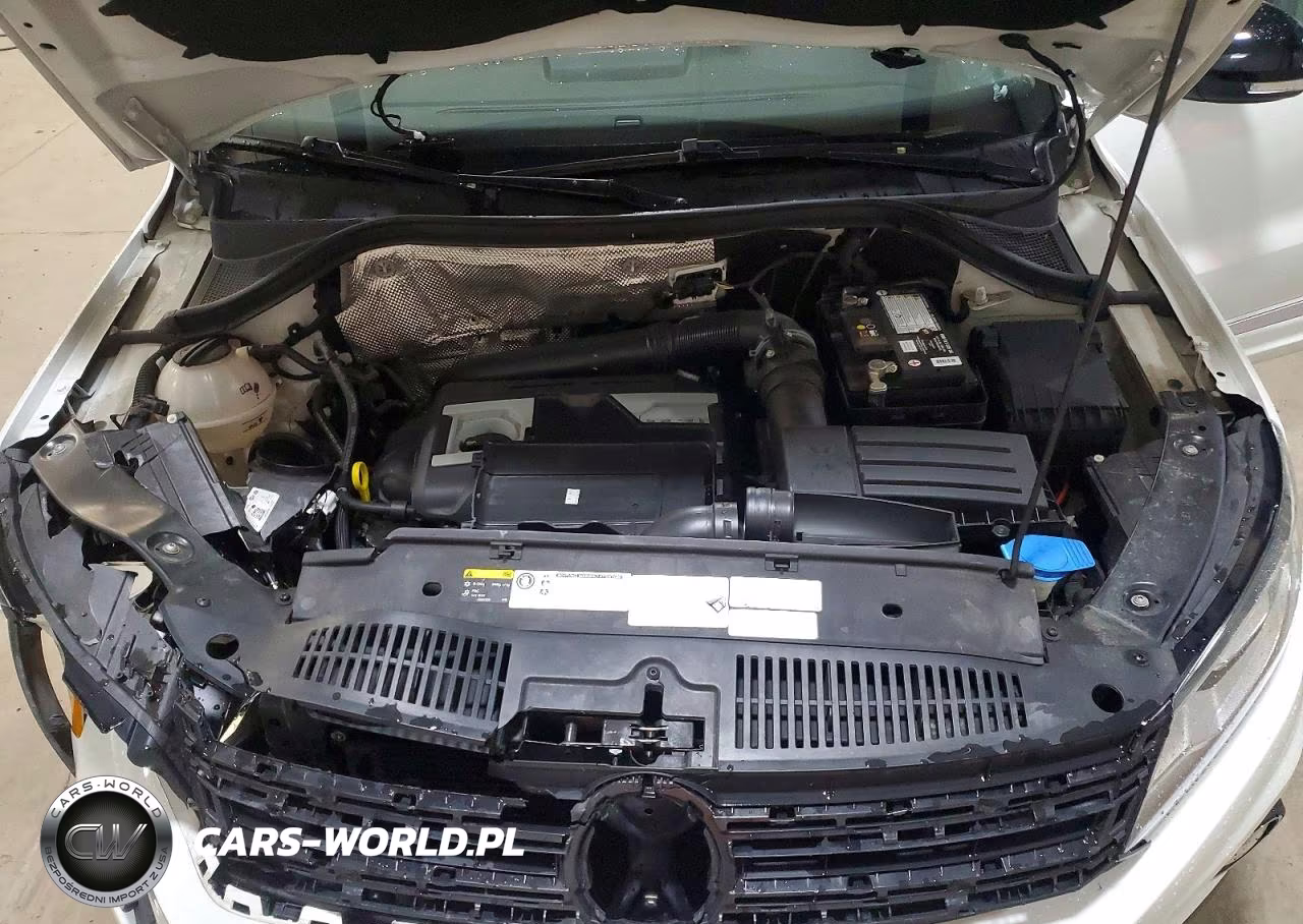 2017 Volkswagen Tiguan Sport VIN:WVGUV7AX7HK022516 - 12