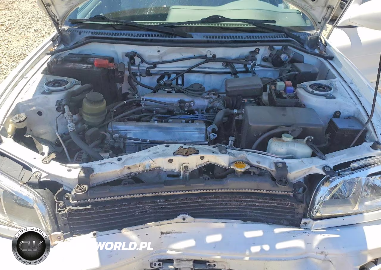 1999 Toyota Rav4 Base VIN:JT3GP10V9X7064474 - 12