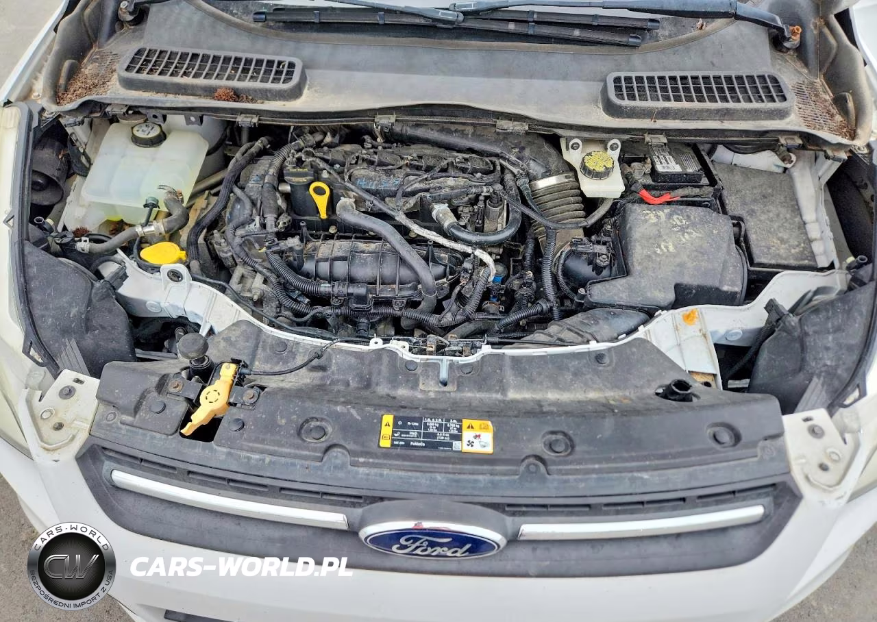 2013 Ford Escape Se VIN:1FMCU9GX9DUB02366 - 11