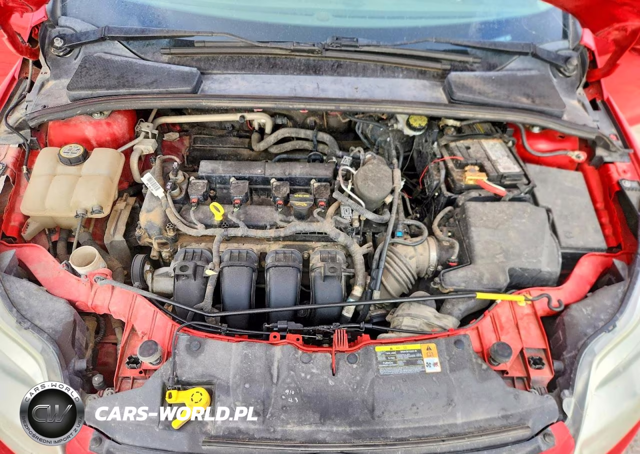 2013 Ford Focus Se VIN:1FADP3F24DL116061 - 11