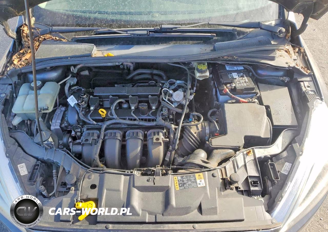 2017 Ford Focus Se VIN:1FADP3K21HL231244 - 11