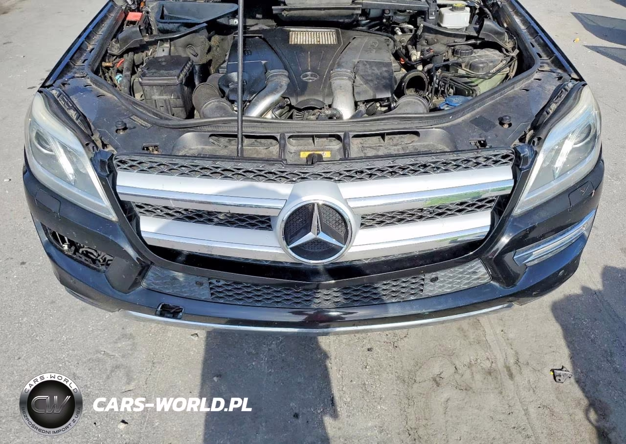 2013 Mercedes-Benz Gl 450 4Matic VIN:4JGDF7CE1DA133300 - 12
