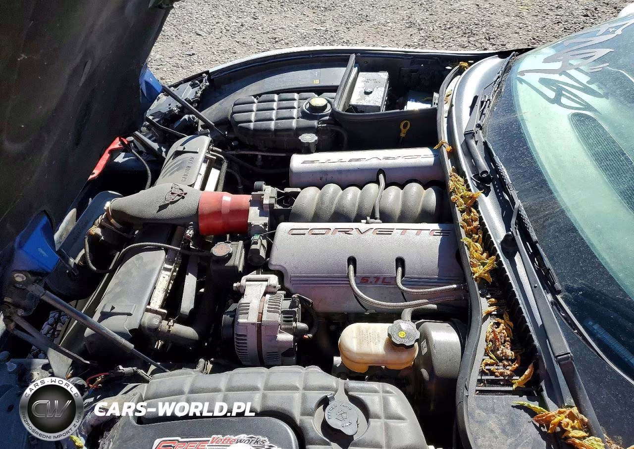 1998 Chevrolet Corvette VIN:1G1YY22G7W5101526 - 11