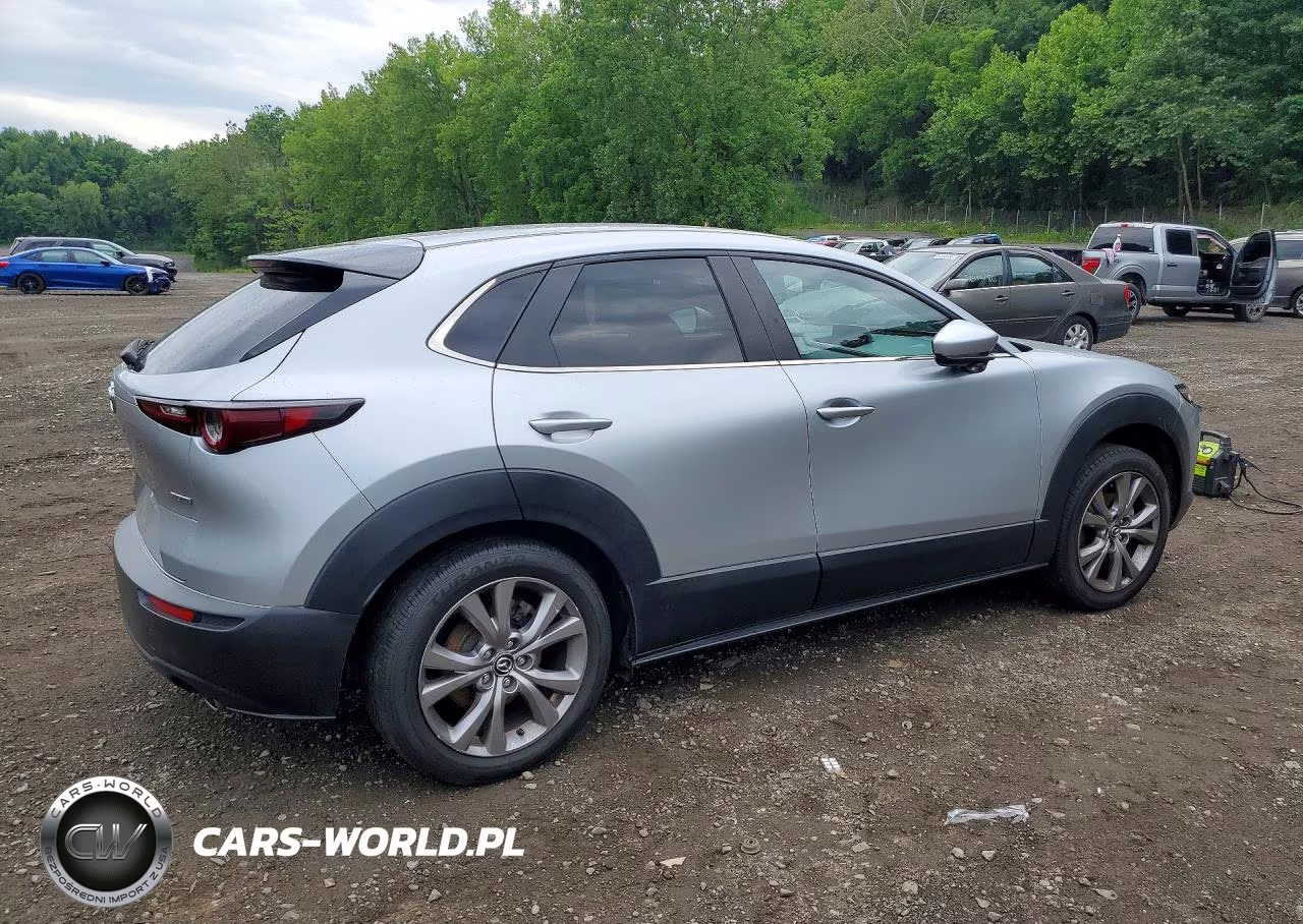 2020 Mazda Cx-30 VIN:3MVDMBCL2LM105551 - 3