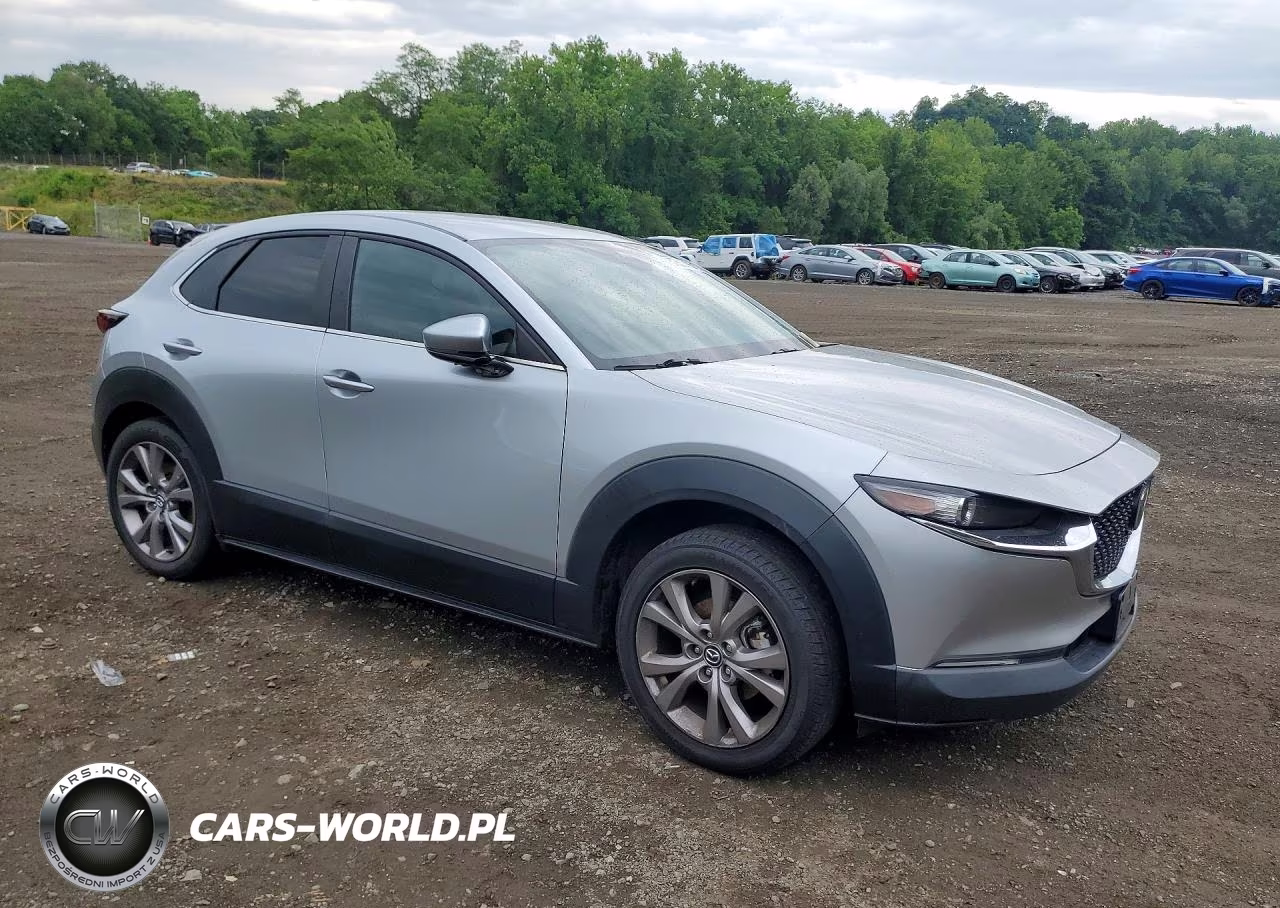 2020 Mazda Cx-30 VIN:3MVDMBCL2LM105551 - 4