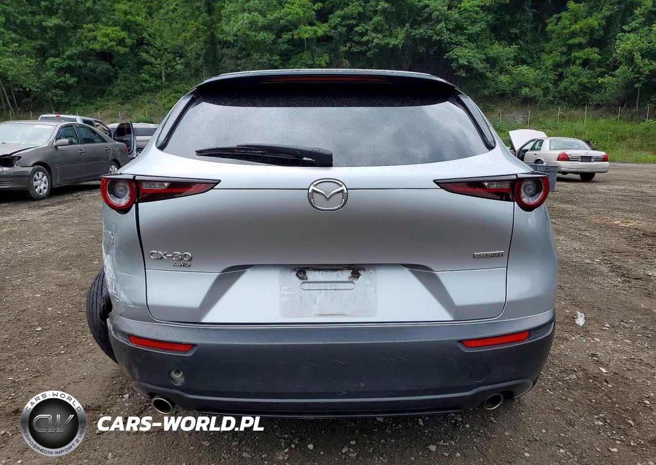 2020 Mazda Cx-30 VIN:3MVDMBCL2LM105551 - 6