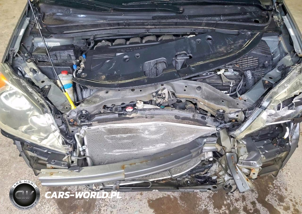 2009 Honda Odyssey Exl VIN:5FNRL38759B023967 - 11