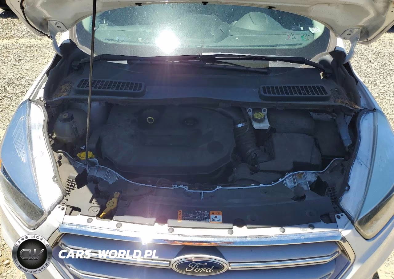 2019 Ford Escape Se VIN:1FMCU9G91KUB66237 - 12