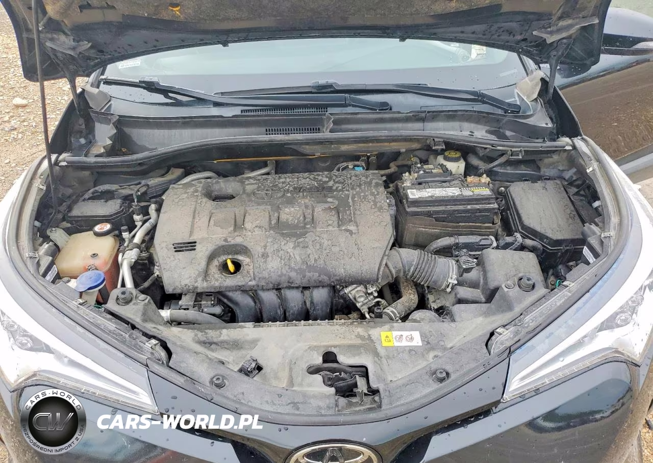 2018 Toyota C-Hr Xle VIN:JTNKHMBX6J1006637 - 12