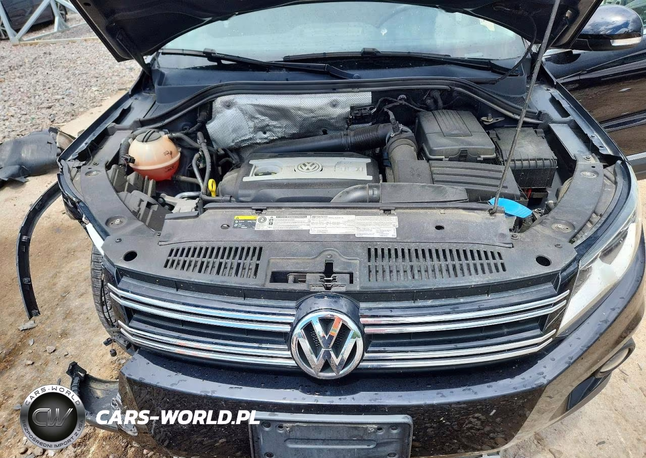 2014 Volkswagen Tiguan S VIN:WVGBV3AX1EW541890 - 12