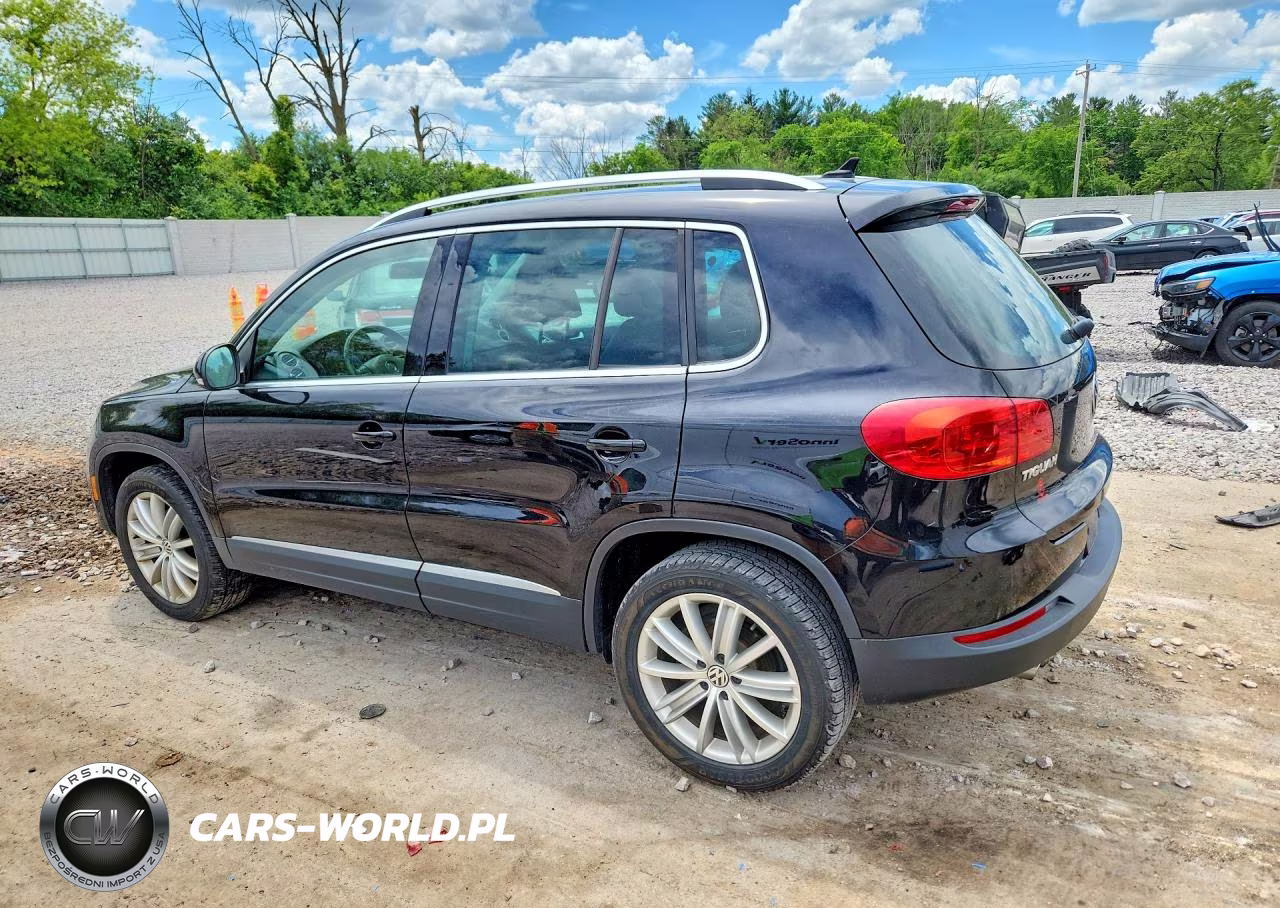 2014 Volkswagen Tiguan S VIN:WVGBV3AX1EW541890 - 2