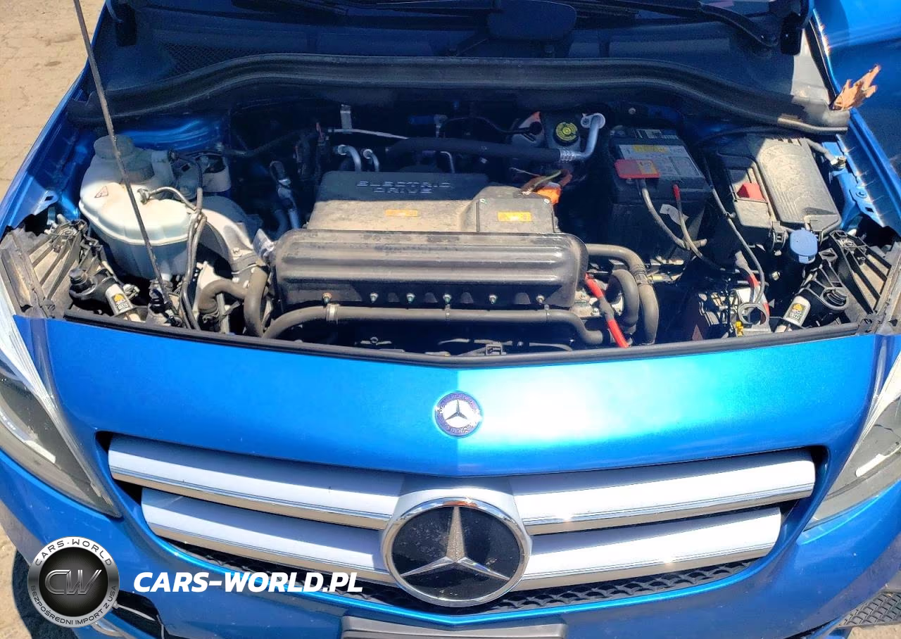 2015 Mercedes-Benz B Electric VIN:WDDVP9AB5FJ004527 - 11