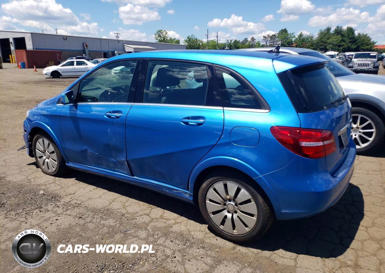 2015 Mercedes-Benz B Electric VIN:WDDVP9AB5FJ004527 - 2