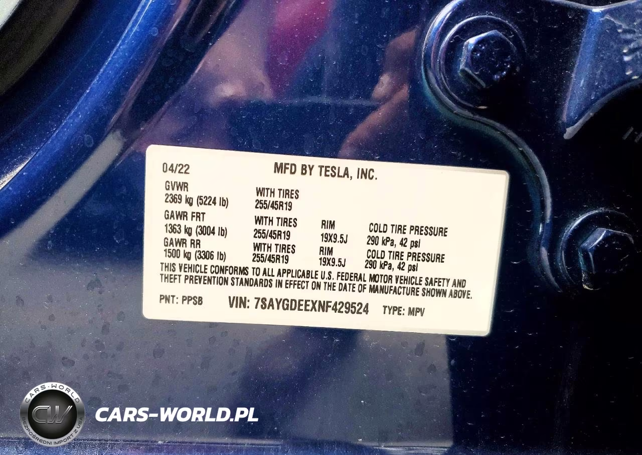 2022 Tesla Model Y VIN:7SAYGDEEXNF429524 - 12